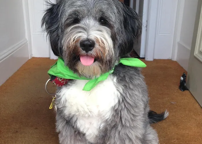 The Olive Branch Bed & Breakfast St Ives 